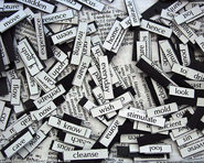 Picture of Words